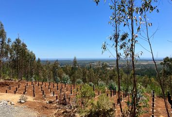 Parcela en  Constitución, Talca, Maule, Chl