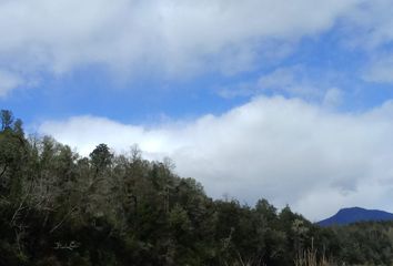 Parcela en  Río Blanco, Futrono, Chile