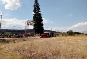 Lote de Terreno en  El Cuitzillo Grande, Michoacán, México