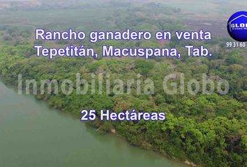 Rancho en  86732, Macuspana, Tabasco, Mex