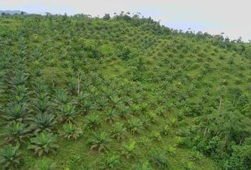 Hacienda-Quinta en  Pedro Vicente Maldonado, Ecuador