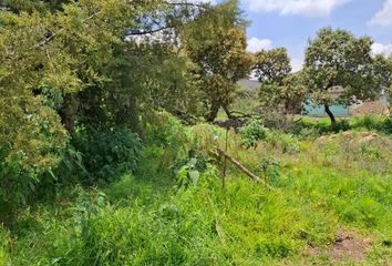 Lote de Terreno en  Retorno Vereda De Las Torres De Alta Tensión, Xochimilco, Ciudad De México, 16880, Mex