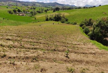 Lote de Terreno en  La Unión, Antioquia