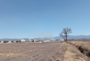 Lote de Terreno en  San Francisco, San Mateo Atenco, Estado De México, México