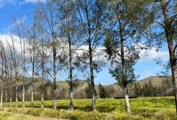 Parcela en  Curacaví, Melipilla