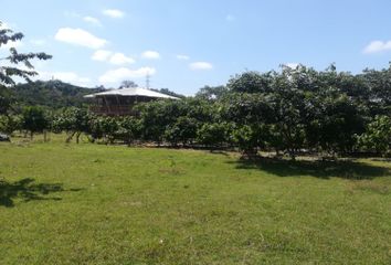 Hacienda-Quinta en  Vía A La Costa 30, Guayaquil, Ecuador