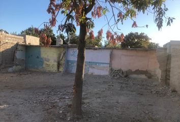 Lote de Terreno en  Miguel Hidalgo Y Costilla, Lienzo Charro, 23030 La Paz, B.c.s., México