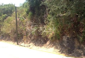 Lote de Terreno en  Playa Guitarrón, Acapulco De Juárez