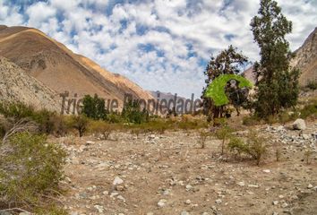 Parcela en  Paiguano, Elqui