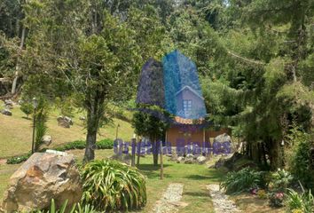 Apartamento en  La Ceja, Antioquia, Colombia