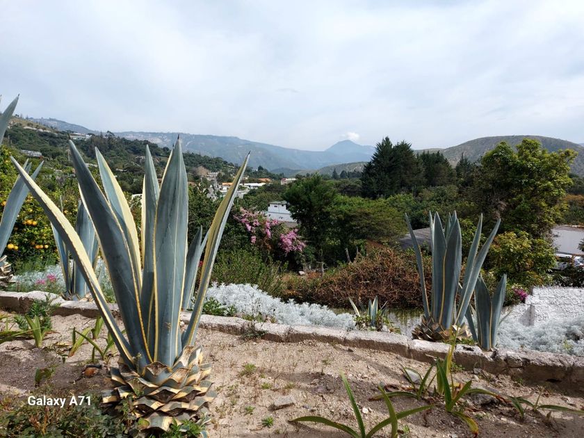 Hacienda-Quinta en venta Rumichupa & Vía Al Zoológico, Guayllabamba, Quito, Ecuador