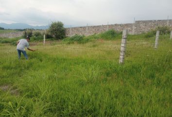 Lote de Terreno en  Colonia Santa Úrsula, Morelos, México