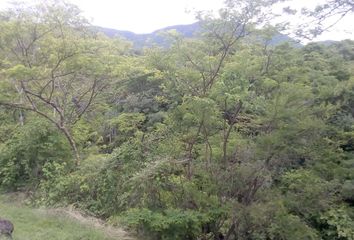 Lote de Terreno en  San Isidro, Morelos, México