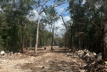 Lote de Terreno en  Carretera Tulum - Cancún, Jacinto Pat, Quintana Roo, México