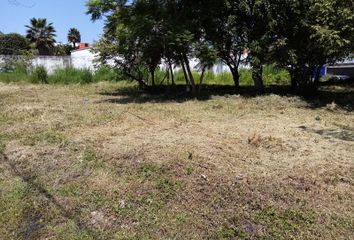 Lote de Terreno en  Las Fincas, Jiutepec, Morelos, México