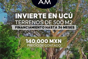 Lote de Terreno en  Ucú, Yucatán