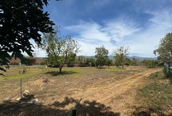 Lote de Terreno en  Carretera El Tuito-chacala, Cabo Corrientes, Jalisco, 48428, Mex