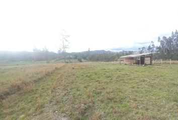 Terreno Comercial en  Parroquia Solano, Provincia De, Déleg, Ecuador