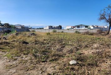 Terreno Comercial en  Pa. Marianitas 1, Quito, Ecuador