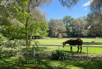 Rancho en  Tepeji Del Rio Ocampo, Tepeji Del Río De Ocampo, Estado De Hidalgo, México