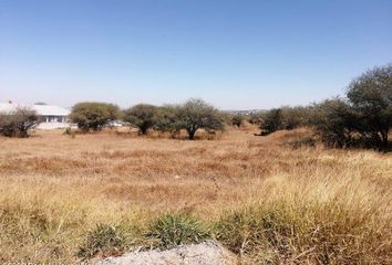 Lote de Terreno en  Los Pinos, Pedro Escobedo, Querétaro, México