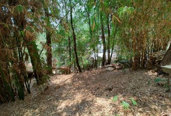 Lote de Terreno en  Del Bosque, Cuernavaca, Cuernavaca, Morelos