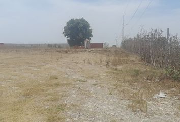 Lote de Terreno en  Calle Domingo Arenas, Barrio De Analco, Coronango, Puebla, 72670, Mex