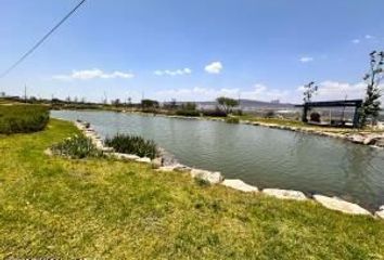 Lote de Terreno en  Parque Central Lomas Del Campanario Norte, Santiago De Querétaro, Querétaro, México