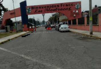 Casa en fraccionamiento en  Alcatraces De Toledo, Los Alcatraces, Ecatepec De Morelos, Estado De México, México