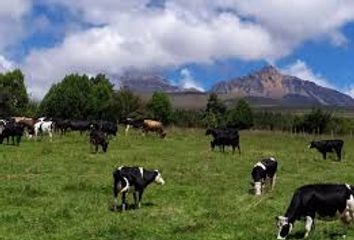 Hacienda-Quinta en  Machachi, Mejia