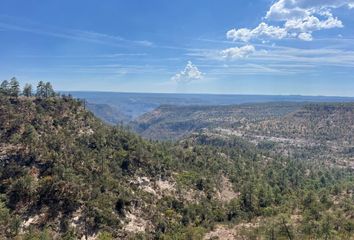 Lote de Terreno en  Bosques De Llano Grande, Durango, México