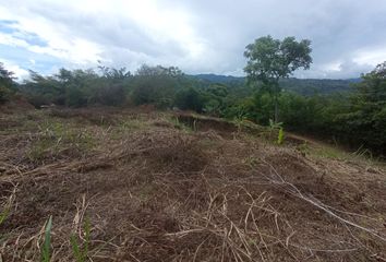 Lote de Terreno en  Estadio Álvaro Gómez Hurtado, Cl. 45a, Floridablanca, Santander, Colombia