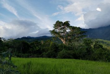 Terreno en  Tarapoto, San Martin