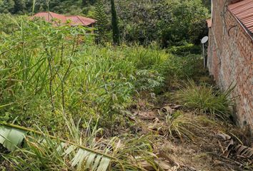 Terreno Comercial en  Malacatos, Ecuador