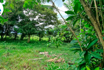 Lote de Terreno en  Acacías, Meta