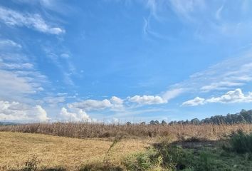 Lote de Terreno en  Ruta Del Bosque 118, Avandaro, Valle De Bravo, Estado De México, México