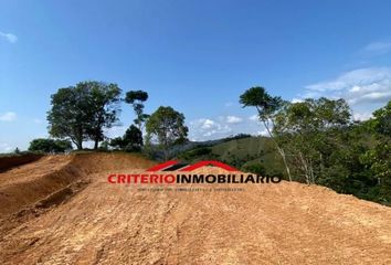 Lote de Terreno en  Doradal, Puerto Triunfo, Antioquia, Colombia