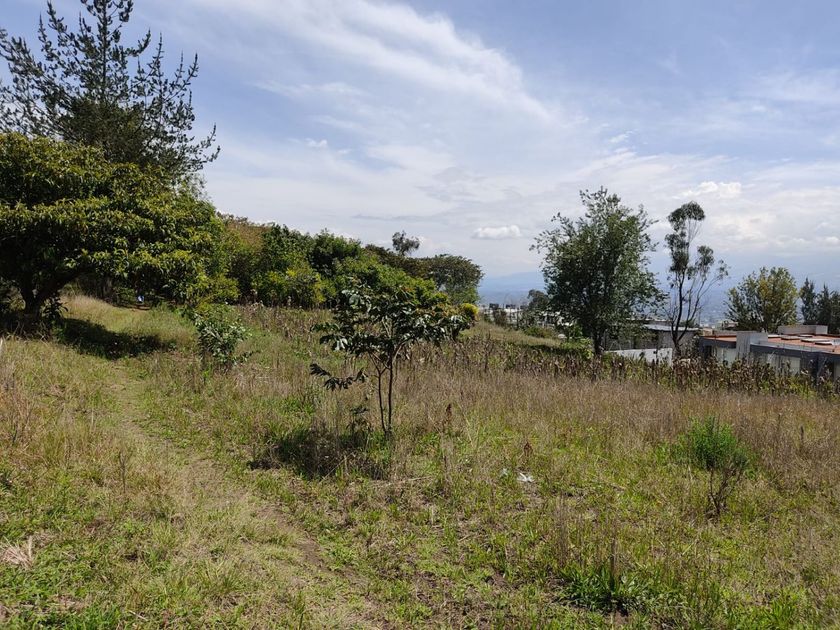 venta Terreno Comercial en Cumbayá, Quito (7) icasas.ec