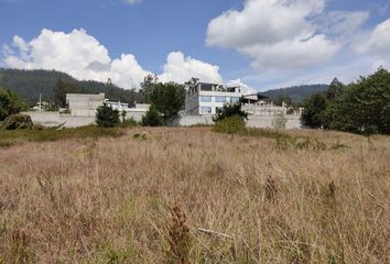 Terreno Comercial en  Lotización Yanazarapata, Cumbayá, Quito, Ecuador