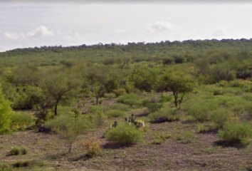 Lote de Terreno en  Carretera A El Cabrito, González, Tamaulipas, Mex