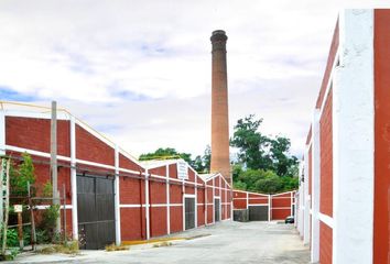 Nave en  San Buenaventura, 90796 Papalotla, Tlaxcala, México