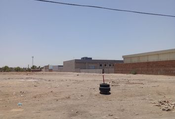 Lote de Terreno en  Alamitos, Mexicali