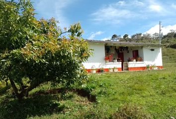 Villa-Quinta en  San Isidro, Santa Rosa De Osos, Antioquia, Colombia