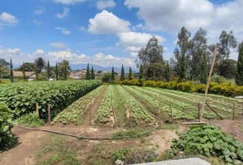 Terreno Comercial en  Yaruquí, Quito