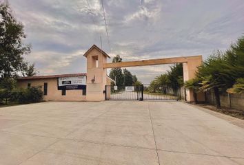 Parcela en  Olivar, Cachapoal