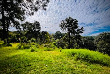 Lote de Terreno en  Calle Vega Del Bosque 14-58, Avándaro, Valle De Bravo, México, 51200, Mex