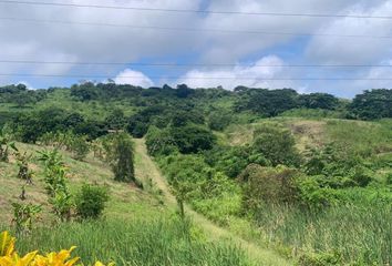 Hacienda-Quinta en  Pedernales, Ecuador