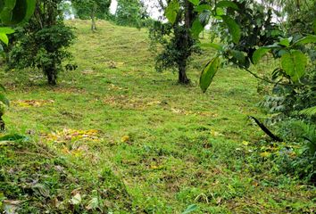 Terreno Comercial en  Km 104, Ecuador