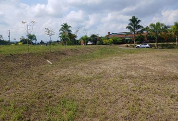 Lote de Terreno en  Centro, Pereira