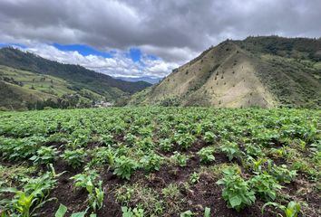 Terreno Comercial en  Loja